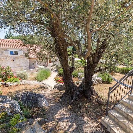 Olive Garden Apartment Ston Exterior foto